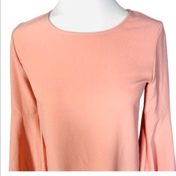 Aqua Casual Dress Crepe Shift - Blush NWT XS Womens - Picture 5 of 8